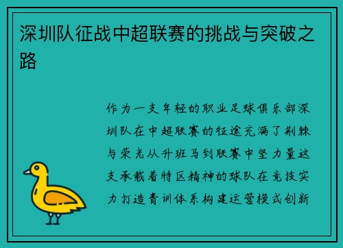 深圳队征战中超联赛的挑战与突破之路