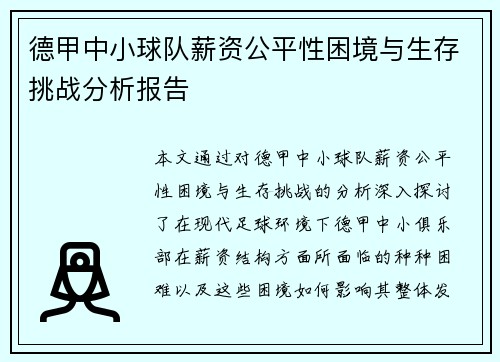 德甲中小球队薪资公平性困境与生存挑战分析报告